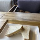 세화산장민박 | [제주도] 여자 혼자여행 북동쪽 세화/종달리/성신 숙소추천