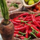 석화농장 이미지