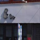 만박동물병원 이미지