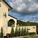 신정길 77 이미지