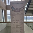 대도사우나 | 한화리조트 거제 벨버디어 스위트 객실 후기｜거가대교 오션뷰, 아이랑 숙박 솔직 리뷰