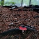 길주공원 이미지