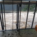 자이 골프존 이미지