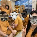 (주)우리닷컴 | 여행기록 - 산방산 탄산온천 내돈내산 후기 / 3월 한라산 등반 후기(아웃도어본부닷컴) / 3월 제주 유채꽃