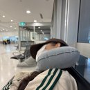 호주면세점 네이쳐위클리 | 시드니 국제공항, 호주 시드니 여행 기념품 추천, 호주 영양제 추천, 호주 면세점 추천, 호주 간식 추천)