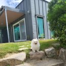 스테이 기북 이미지