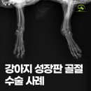 해오름동물병원 이미지