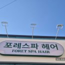 포레스파헤어