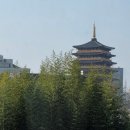 브라운도트 경주보문점 이미지