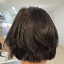 로터스블랑 | 로블루 트리트먼트 로스터가든 사용후기