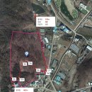 이유청 묘 이미지