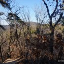 여주온천 이미지