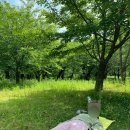 푸름공원 이미지