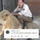 대전오월드 이미지