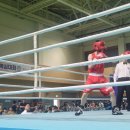 BLSO 복싱 아카데미 이미지