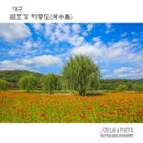 금호강10 이미지