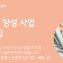 운용약국 이미지