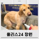 성산구 ⓐ-5 | 창원 애견셀프목욕 올리스24 창원성산점 대형견도 가능