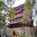 대농한우축산 이미지