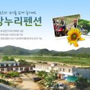 강누리펜션 네이버블로그