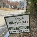 영화식당 | 팔공산 반려견 동반 식당 찾는다면? 능이백숙 찐 맛집 영화식당 후기