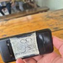 포항물회집 | [포항 태화횟집]태화횟집vs환여횟집, 솔직후기, 포항물회집 추천좀요 ㅜㅜ