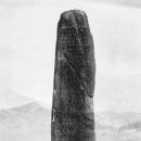 당 사 모 이미지