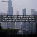 공감네트워크서비스 이미지