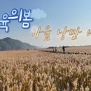 봄봄통신 이미지
