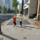 가락지구대 이미지