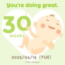 망꼬 | 임신30주~35주 일상🍼😜