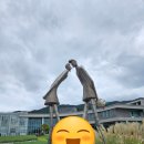 코스모스 산업 | 🍂 남원 지리산 허브밸리 2025년 완벽 가이드 | 코스모스와 허브의 향연