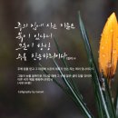가람디지탈주 네이버블로그