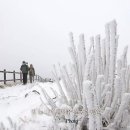 거창군청 이미지