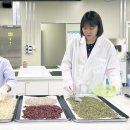 청년레시피 이미지