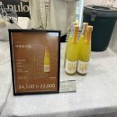 포도홍보관 화장실 | [2024대전 국제와인 EXPO] 대전와인축제 후기