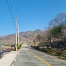 김천맑은계곡오토캠핑장 이미지