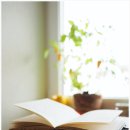 바람새마을 이미지