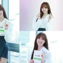 여우수제화 이미지
