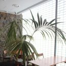 코버트 커피 이미지