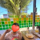 그린그라스 | 기타큐슈 그린그라스 방문 후기☕️🍝