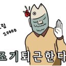 동선참치 이미지