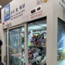 [신도림 꽃집] 요즘 신도림러들은 꽃집 다 여기로 간다던데?ㅣ뷰티플라워 홈플러스 신도림점 후기