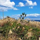 태흥횟집 이미지