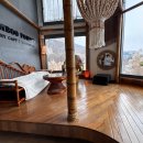 포레스트커피 이미지