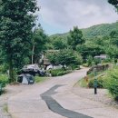 캠핑 ┃ 천안 태학산 자연휴양림 캠핑장 A구역 이용 후기