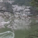 연지동-3 이미지