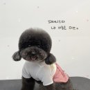 멍발소 하우스 이미지