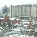 서울대병원 이미지