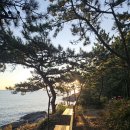 10.7 초도, 조리도, 용도 (보림님,솔향기님) 이미지